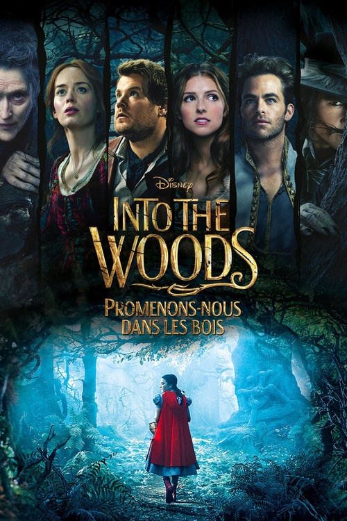 Poster de Into the Woods